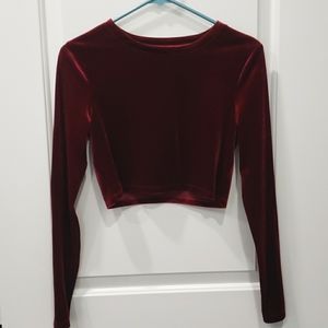 NWOT Velvet Crop Top